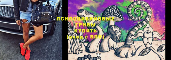 гидропоника Балабаново