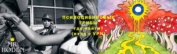 гидропоника Балабаново