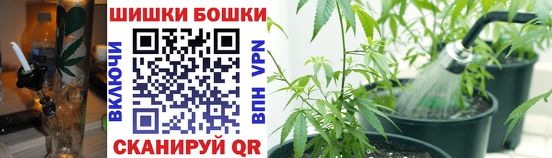 Конопля MAZAR  Навашино 